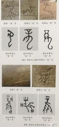 西岳行