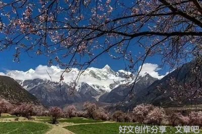 诗雨故乡