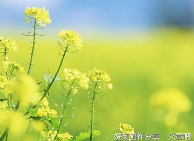 赏识，让事情柳暗花明