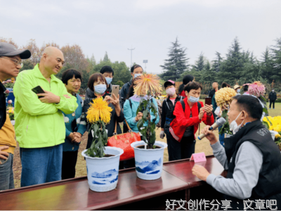 用心灌溉，收获幸福