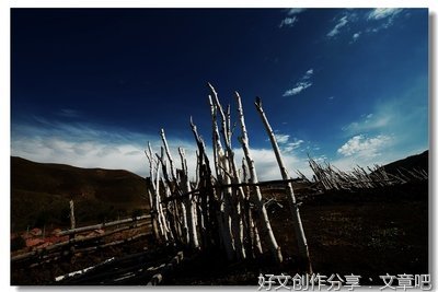 那些年，那些荒唐的事