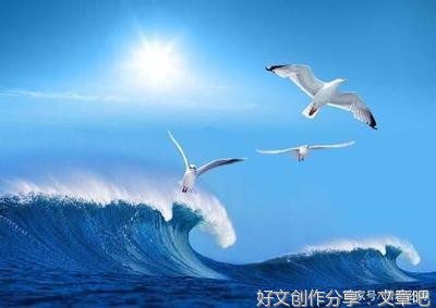 用他律弥补自律之不足