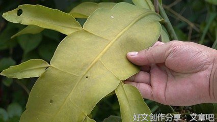 意料之外