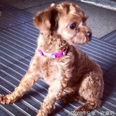 让我重新爱你