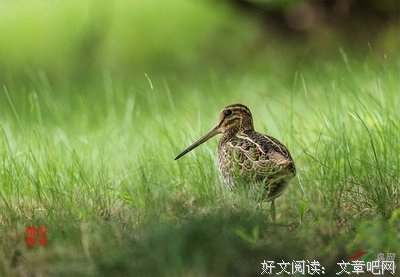 偶然一得
