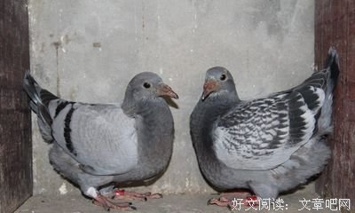 交款之后