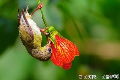 大李老师