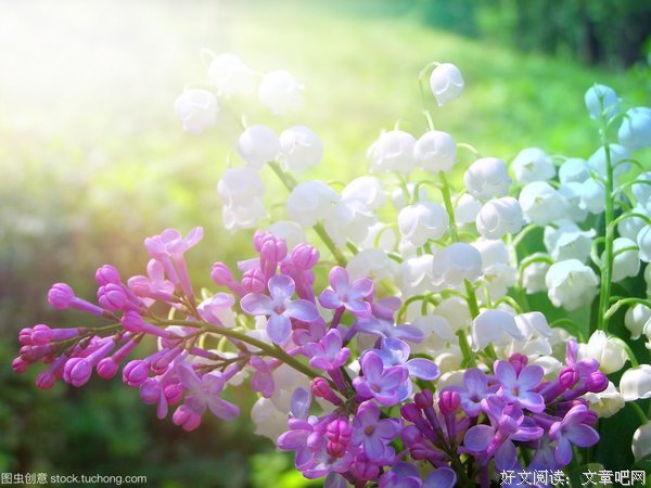 其实我们要的不仅是鲜花