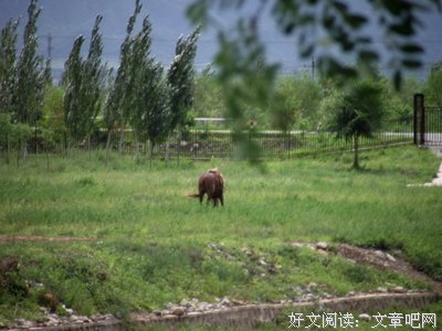 北京，我不虚此行