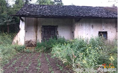 小涛弟弟