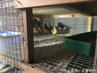 触目惊心的一幕