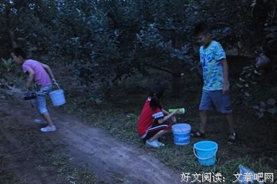 童年 果园 知了猴