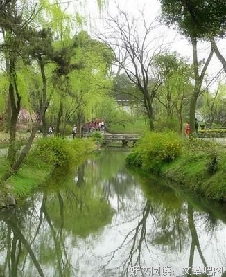 春日的诗行