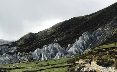 得偿所愿