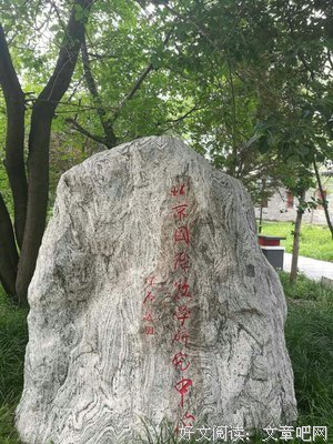 人生的成功播下种子