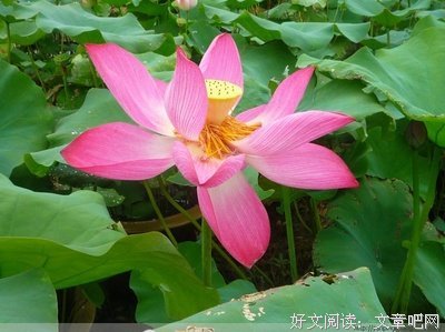 品读秋雨的味道