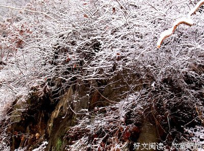 雪的记忆