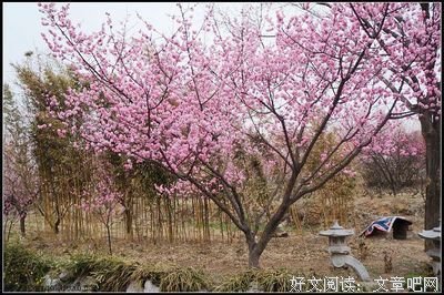 踏青归