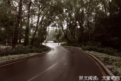 散记
