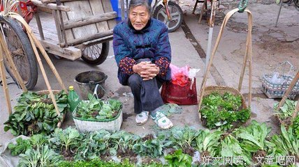 卖菜的老人