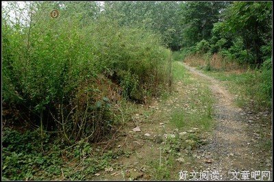这一日杂记