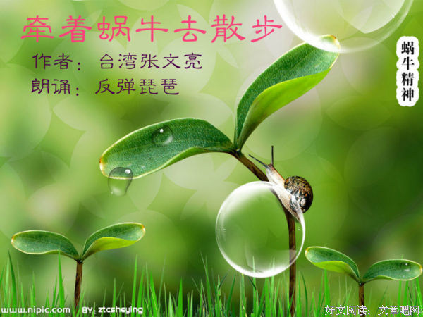 牵着蜗牛散步