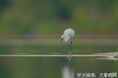 谁的1949在飞