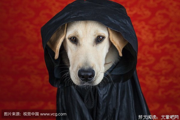 斗篷