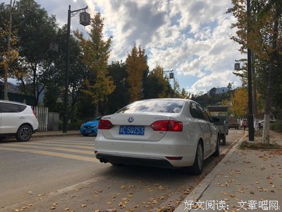语数一家亲