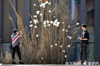 掬一捧阳光