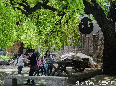 香樟树下
