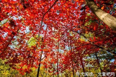 在浅浅的时光里