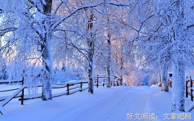 雪至雨夹
