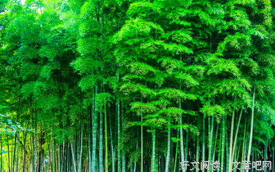 顺其自然，何以？