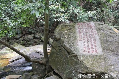 微雨的冬日