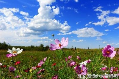 一个人，一条路