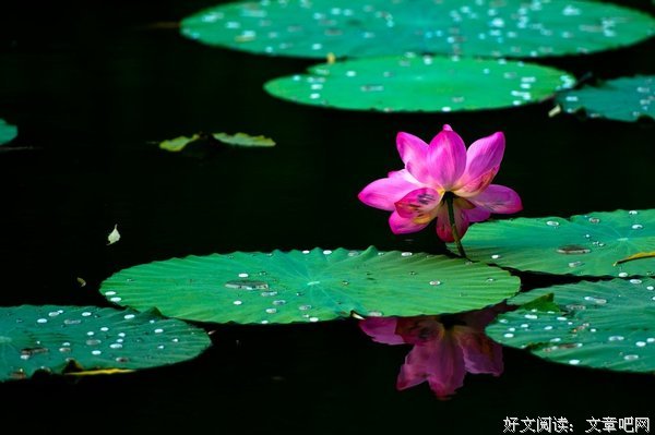 夏日初阳