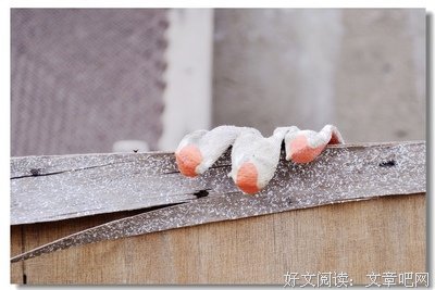 生活杂味