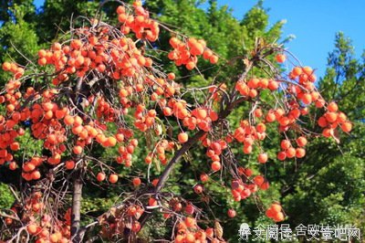 一座小城