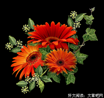 慢慢去懂