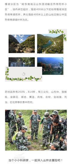在路上，遇美丽