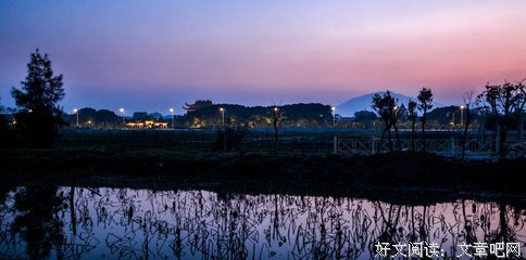 暮色湿地