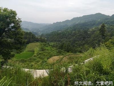 雨里思
