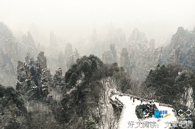 飞雪纷纷