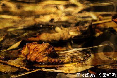 初冬 暖阳