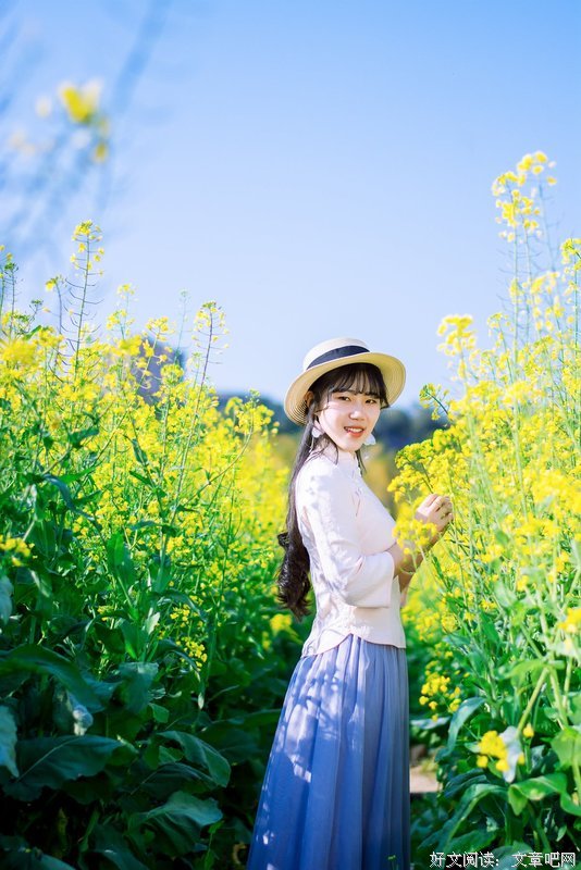 油菜花开