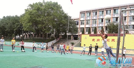 小记，香樟