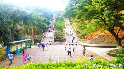 夜雨声声