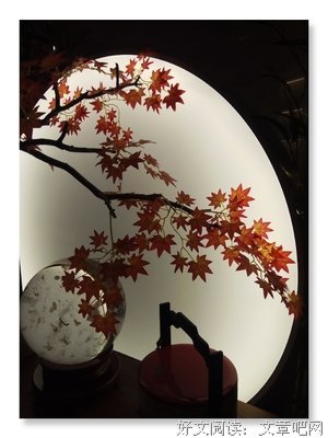秋意渐浓