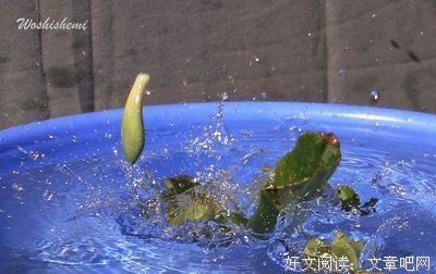 瞬间之美